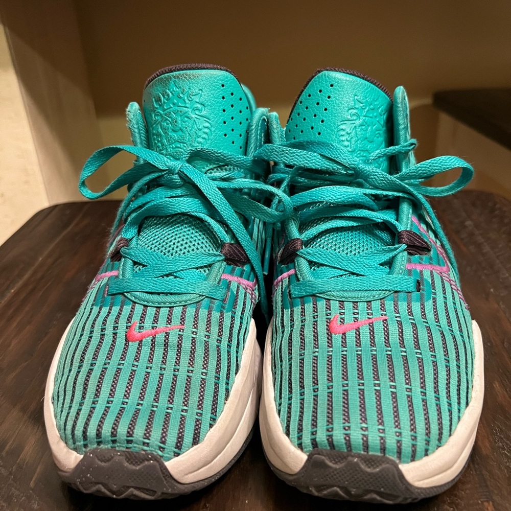 Lebron Witness 6